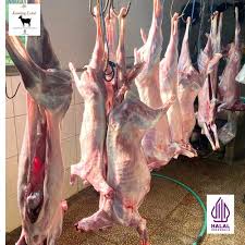 Daging Kambing